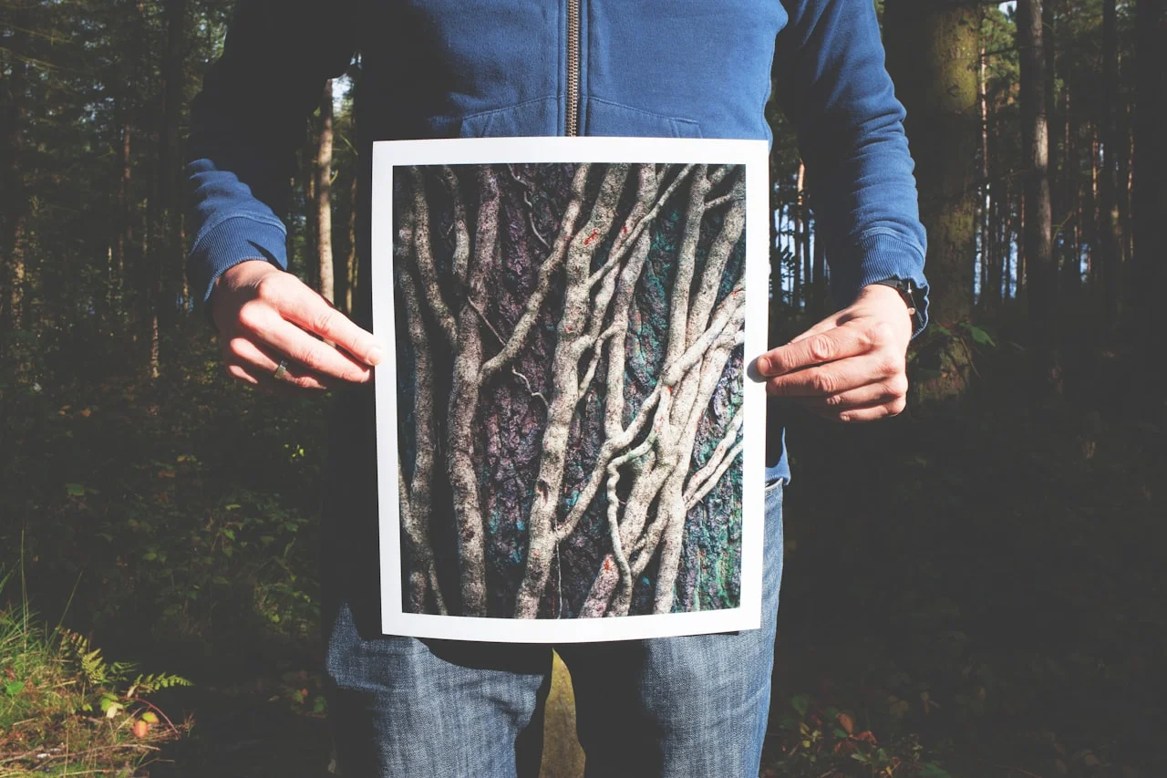 Oseba drži natisnjeno fotografijo v formatu 30 × 40 cm v gozdu